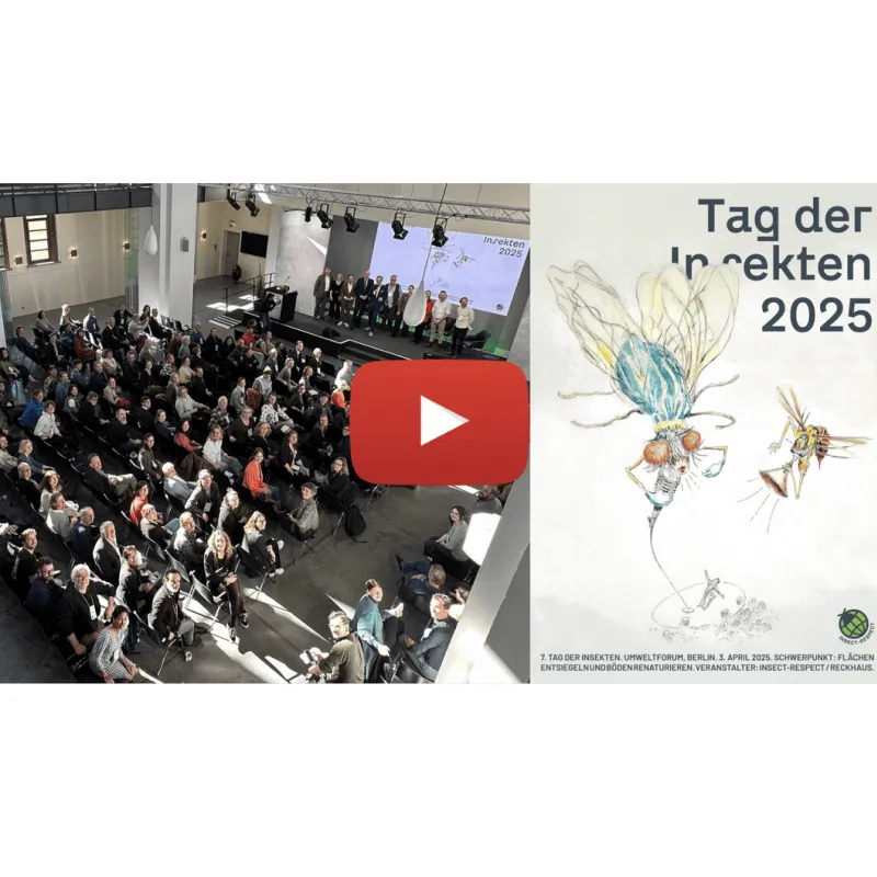 Das war unser Tag der Insekten 2025