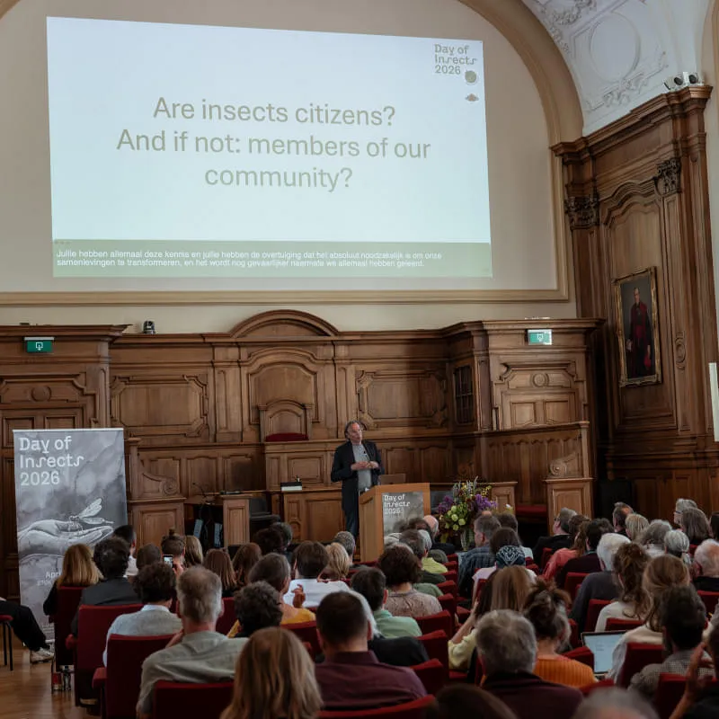 Day of Insects 2026 Fotorückblick