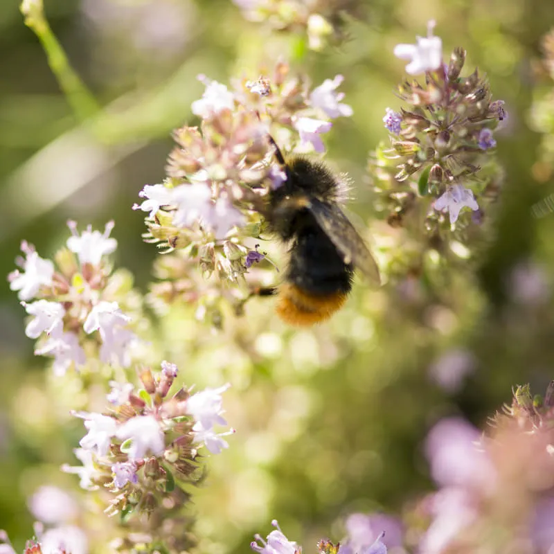 Allrounder:in Administration (50–100 %) CH