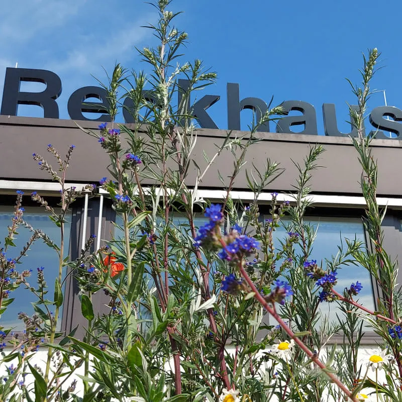 Kaufmännische/-r Angestellte/-r (w/m/d) (50-100%)