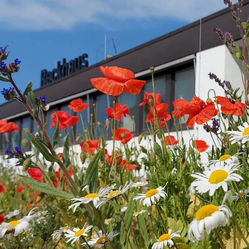 Einkäufer:in der Reckhaus AG (60–100 %)