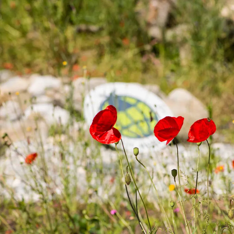 Lagerist:in Reckhaus KG (100%)