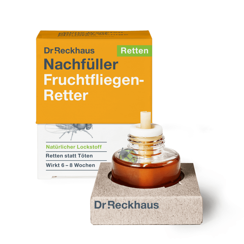 Nachfüller für Fruchtfliegen-Retter