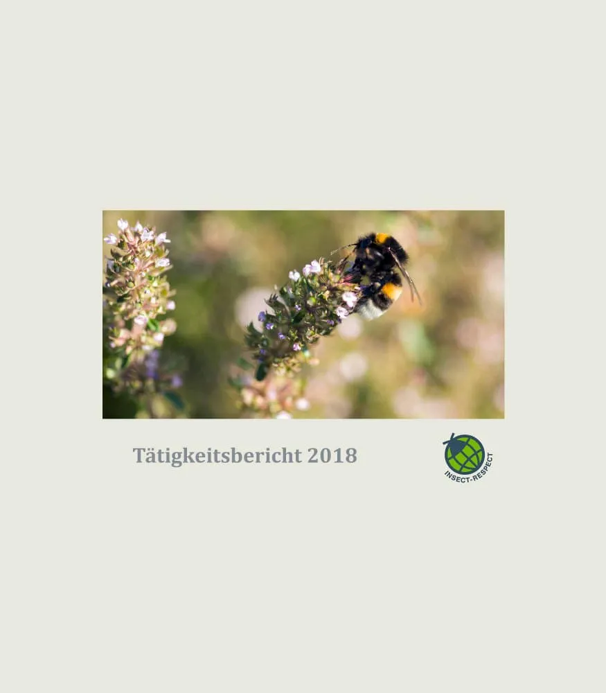 Insect Respect (2019): Tätigkeitsbericht 2018