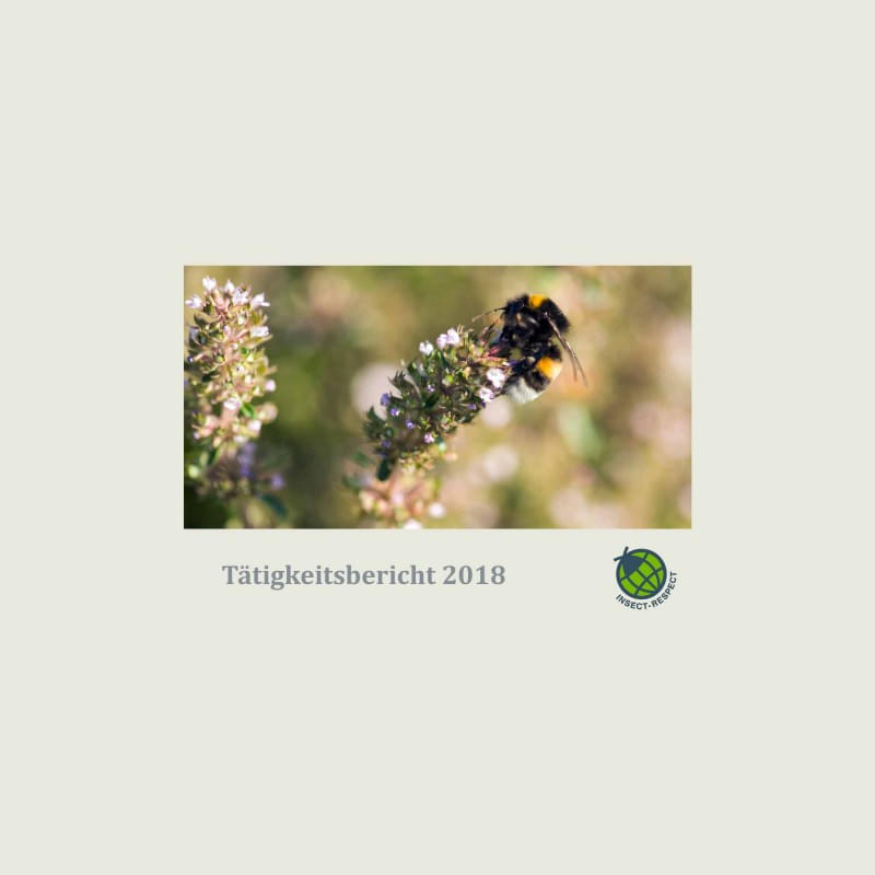 Insect Respect (2019): Tätigkeitsbericht 2018