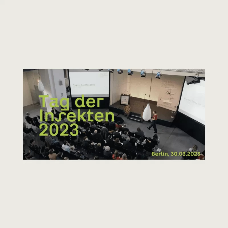 Tag der Insekten 2023